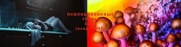 молекула духа Магас